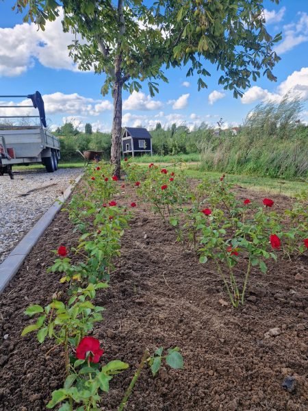 Kopie van 20250905_164904